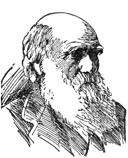 Charles Darwin Darwinismus
